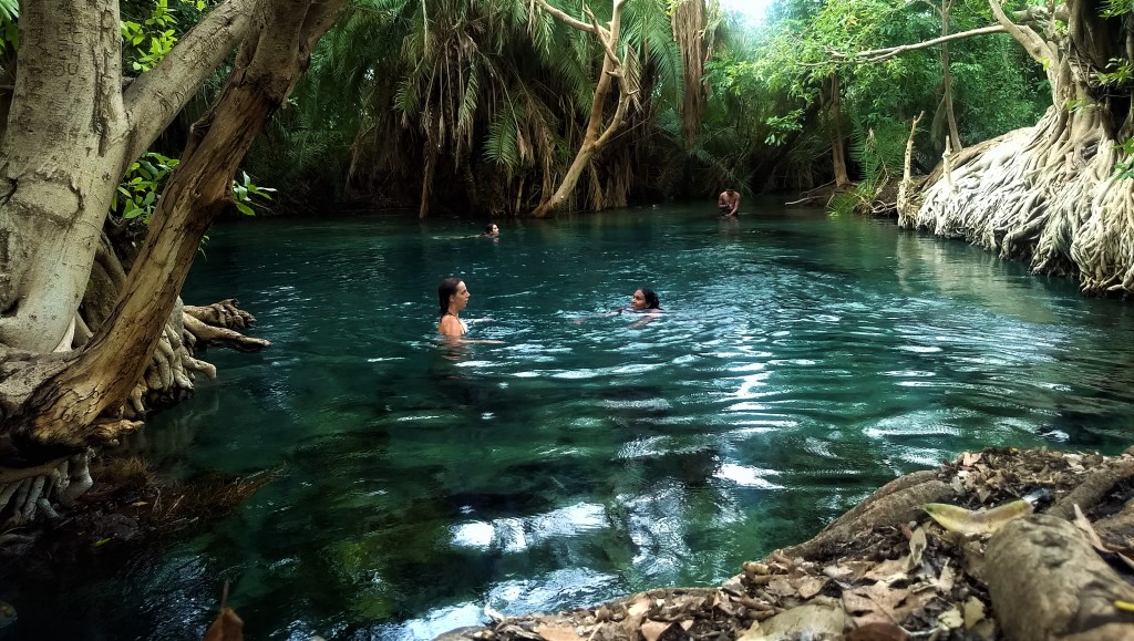 Natural Pool experience